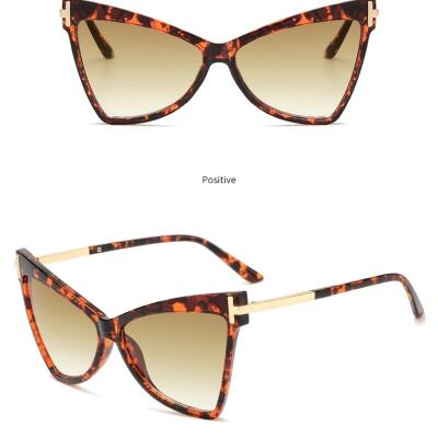 China 2021 Fashion Western Big Frame Triangle Sunglasses High Quality Cat Eye Women's Sunglasses for sale