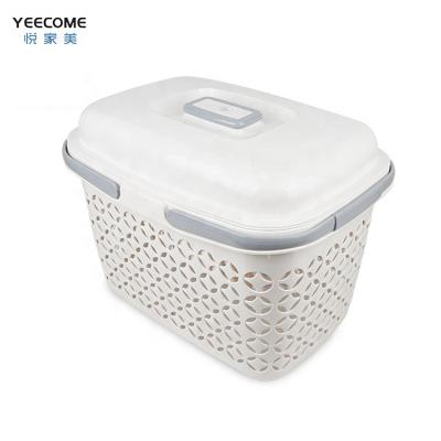 China Yeecome Private Label Hand Basket Sustainable Plastic Storage Basket Multifunctional PP Plastics Storage Basket for sale