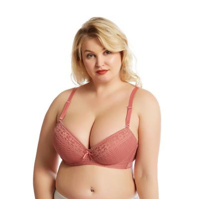 China Factory Wholesale D Cup Sustainable Mesh Breathable And Soft Plus Size Bra for sale