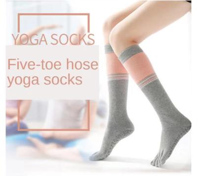 China In Socks Professional-grade Sports Socks Non-slip Five-toe Hose Yoga Socks for sale