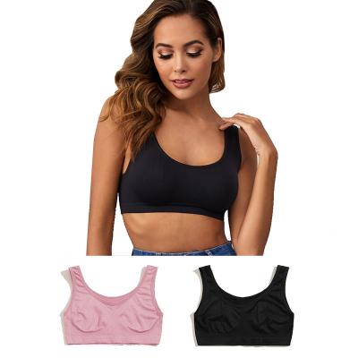 China Seamless Fashion Women Solid Color Female QUICK DRY Spandex Push Up Bra Underwear OEM for sale