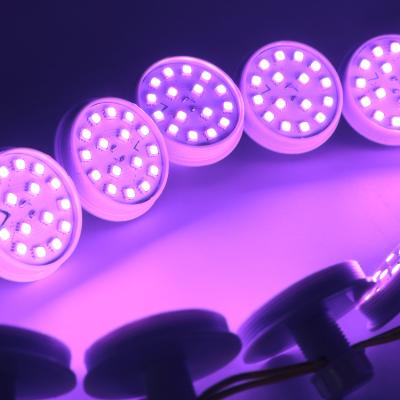 China AlGaInP 16leds RGB automic control pixel led ws2811 24v light rohs 60mm auto led pixel light for sale