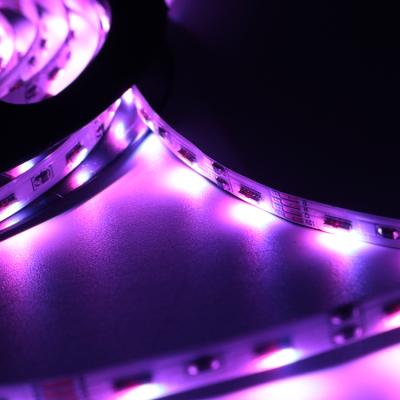 China Want 5mm shijilighting small size 12v side view rgb smd020 led flexible rgb strip for sale