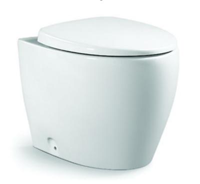 China DCBJ L2375 Concealed Toilet Wash Down Bathroom Toilets Hot Sale Toilet Bowl for sale