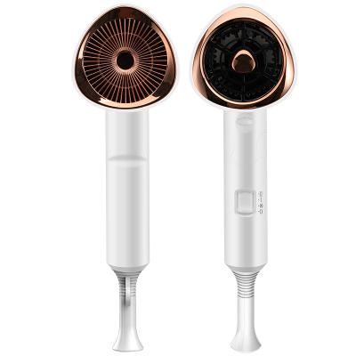 China Negative Ion Quick Drying Electric Hair 220V Collapsible Professional Salon Hair Dryer for sale