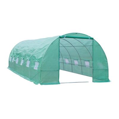 China Easily Assembled Brand New Poly Tunnel Garden Greenhouse With High Quality for sale