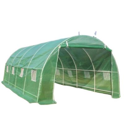 China 8*3*2m Easily Assembled Polytunnel Galvanized Steel Structure Greenhouse PE Cover For Sale for sale