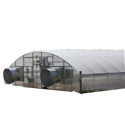 China Stable Structure Easily Assembled Single-Span Agricultural Tunnel Greenhouse For African Market for sale