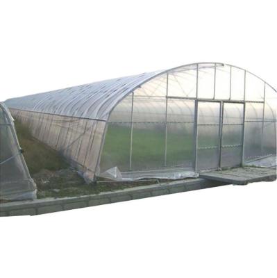 China Stable Structure Easily Assembled New Design Agricultural Greenhouse Morocco With Great Price for sale