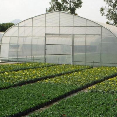 China Stable Structure Easily Assembled Professional Passive Solar Greenhouse With CE Certificate for sale