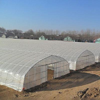 China Stable Structure Easily Assembled Professional Greenhouse Cucumber Seed With CE Certificate for sale