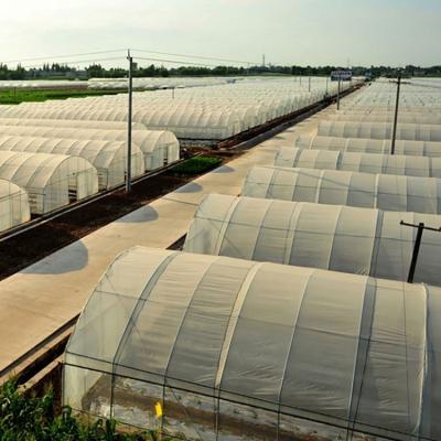 China Stable Structure Easily Assembled New Design Polytunnel Greenhouse Plastic Film House With Great Price for sale