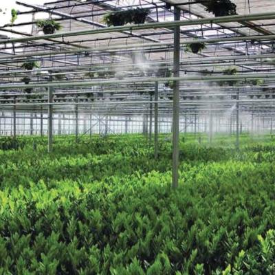 China Cooling spray and fogging system for plants for sale