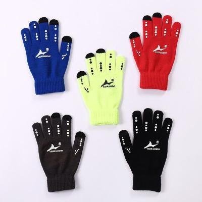 China Wholesale Warm Touch Screen DINGCHAO Cycling Motorcycle Comfortable Breathable Quick Dry Outdoor Winter Other Sports Gloves for sale