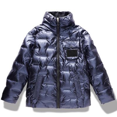 China FREE SAMPLE Wholesale Fashion Men Breathable Down Warm Windproof Jacket Coats Winter Stripper Jackets for sale