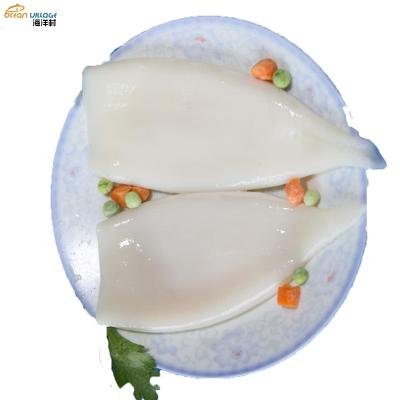 China Nutritious Food Factory Shandong Ocean Village IQF Calamari Tube U3 Wholesale Frozen Calamari Tubes for sale