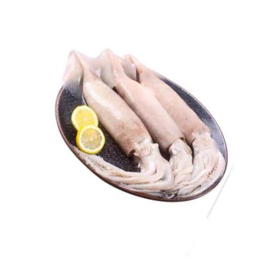 China Shandong Ocean Village Nutritious Seafood Stuffed Calamari Wholes 10% Calamari Glaze Whole Food Wholesaler for sale