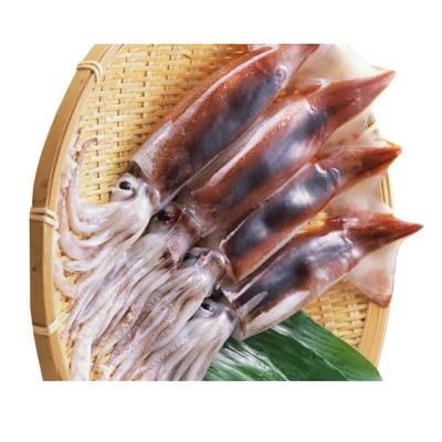 China Whole Todarodes Pacificus Calamari Seafood Voucher Food Village Ocean Shandong Price Nutritious Whole Calamari Frozen High Quality for sale