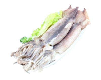 China Shandong Ocean Village Nutritious Food Hot Selling Squid Wholes 50% 10kg/block Glaze Squid for sale