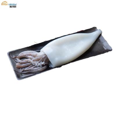 China New Nutritious Food Village Ocean Shandong Squid Tube+Tentacle 50% Process Stuffed Glaze Squid Tube+Tentacle 50% New T+T for sale