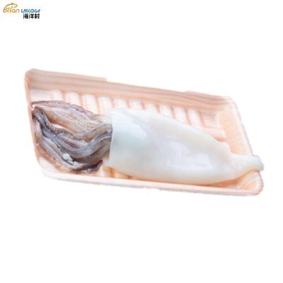 China Shandong Ocean Village Food Natural Flavor T+T Nutritious Fresh Frozen Squid Tube+Tentacle 1kg*10bag Packaging for sale