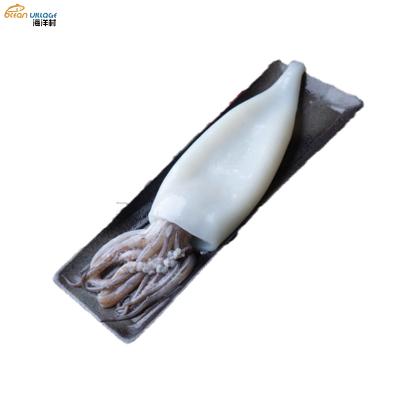 China Village Nutritious Food Shandong Ocean Wholesale Price Dosidicus Gigas T+T Squid Tube+Tentacle Frozen Squid Tube+Tentacle for sale