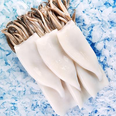 China High Quality Frozen Squid Tube+Tentacle T+T Todarodes Pacificus T+T Seafood Shandong Ocean Village Nutritious Squid Good Price for sale