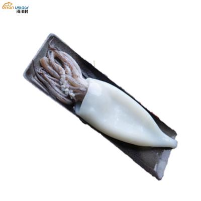 China T+T Village Nutritious Food Shandong Ocean Clean And Delicious Icing Squid 20% Tube+Tentacle 10kg/Block T+T Squid Price Tube+Tentacle for sale