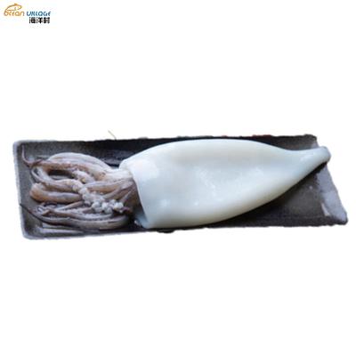 China New Nutritious Food Village Ocean Shandong Squid Tube+Tentacle EU Process High Quality Standard T+T 20% Chemical Processed for sale