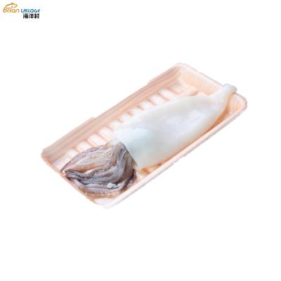 China High Quality Frozen Squid Tube+Tentacle Shandong Ocean Village Bestselling Nutritious Seafood Supplier T+T Squid Tube+Tentacle for sale