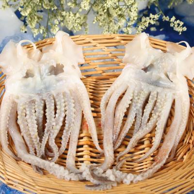 China New Season Nutritious New Season Squid Tentacles 30% Stuffed Glaze Tentacle for sale