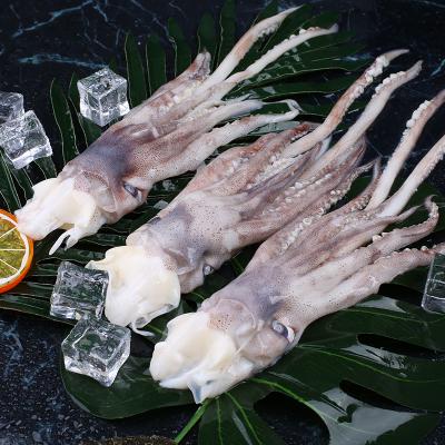 China Nutritious Cheap Squid Tentacle EU Standard Price Chemical Processed IQF Frozen Squid Tentacle for sale