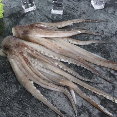 China 2021 Nutritious New Style Calamari Squid Tentacle Frozen Calamari Tentacle Manufacturers for sale