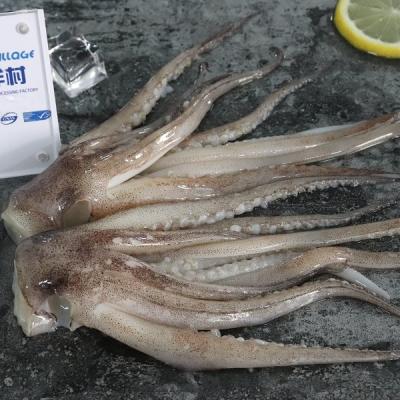 China New Season Factory Price Nutritious Squid Tentacle Illex Squid Tentacle for sale