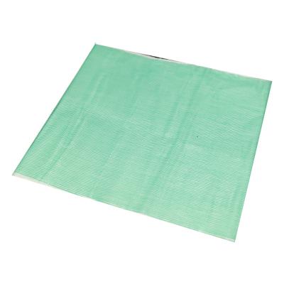 China Modern Agricultural Vegetables Customized HDPE Protective Mesh 45g 60g 70g Agricultural Insect Net for sale