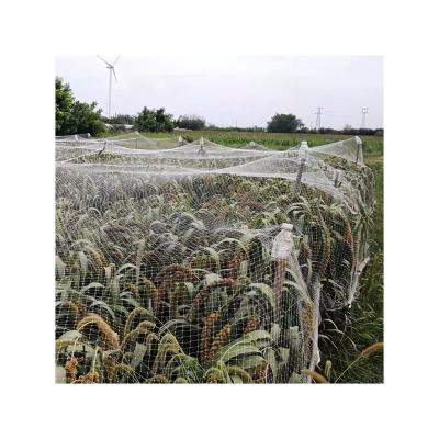 China Hot Selling High Quality HDPE Customized Greenhouse Farm Garden Factory Price Agricultural Protection Anti Hail Net for sale