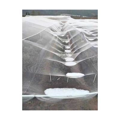 China Protect Crops From High Hail Protection HDPE Hail Net Farm Orchard Protection Agricultural Outdoor Hail Net for sale