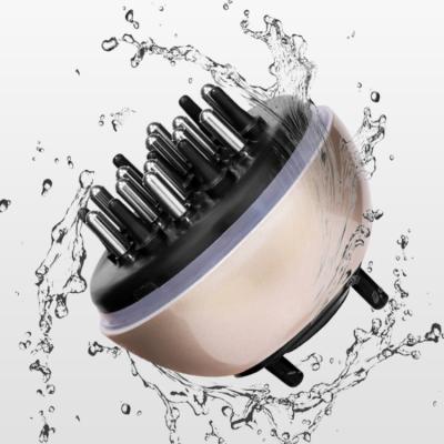 China The Updated Design Scalp Massager Comb Hair Growth Scalp Home Application Factory Mini Hair Brush Comb for sale