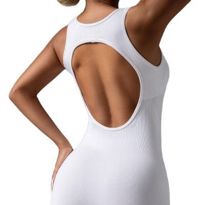 China New Hot Selling Seamless Knit Yoga Suit For Women Sports Fitness Waist High Hip Lift With Chest Pad Strap Shockproof Overalls for sale