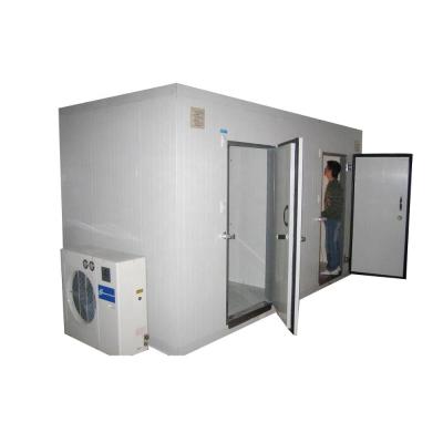 China Hotels FR-CR03B 30CBM Industrial Vegetable Truck Fruit Freezer Cold Room With Condenser for sale