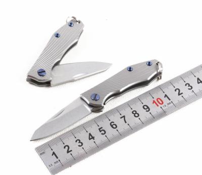 China Easy Carry Mini Keychain Titanium Knife D2 Blank Pocket Key Knife for sale