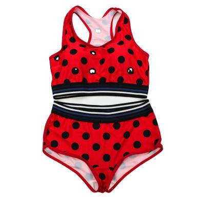 China Latest Fashion Eco-friendly Design High Standard U-neck Bikinis And Soft Nylon Beach Wear Girl Bikini for sale