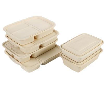 China Custom Degradable And Strong Buckle Food Supplies Container 1000ml Disposable Cornstarch Division Eco Friendly Take Away Bento Lunch Box for sale