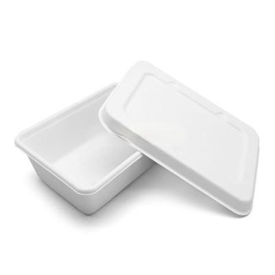 China Eco Friendly Food Bagasse Pulp Compostable Biodegradable Disposable Food Container for sale