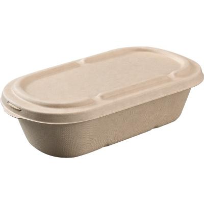 China Biodegradable Caterer Customized 100% Biodegradable Sugar Cane Food Container Container For Food Box Fast Food for sale