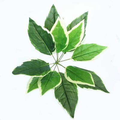 China EW-P1030 Eco-friendly Home and Garden Decoration Artificial White Border Leaves Plants for sale