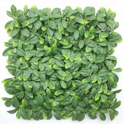 China Wholesale Easily Assembled Outdoor Garden Decoration OEM Plastic Material Artificial Green Wall for sale