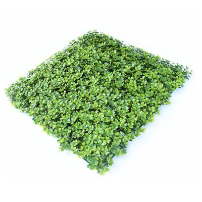 China Home Decoration Plastic Outdoor Plants Easily Assembled Artificial Living Green Wall EW-023 for sale