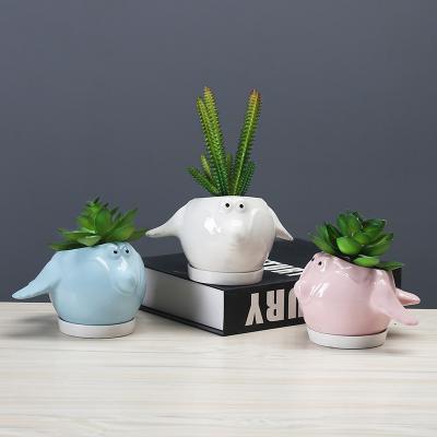 China Simple creative tabletop traditional meat flowerpot plant cartoon decorative ceramic flowerpot for sale