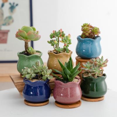 China Traditional Calico Ceramic Vase Set Table Top Succulent Potted Plants Succulent Flower Pot for sale